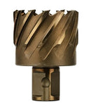 Screenshot 2026-02-19 150344.jpg